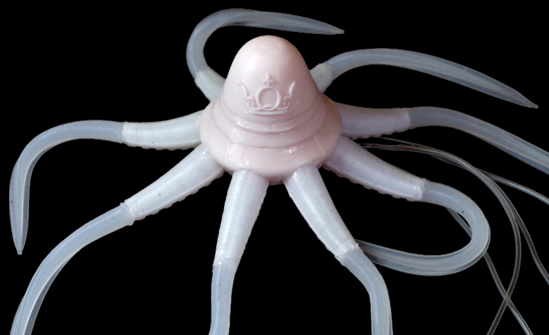 image: octopus